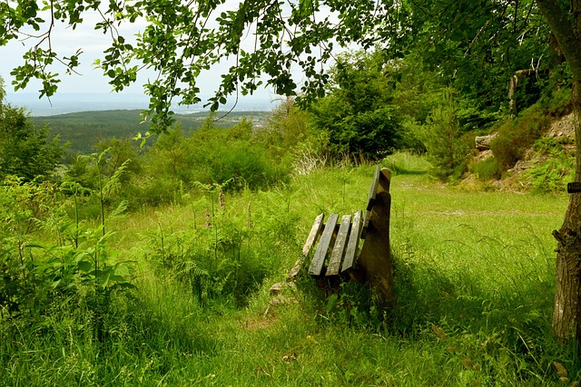 锐的反击意 锐的反击意