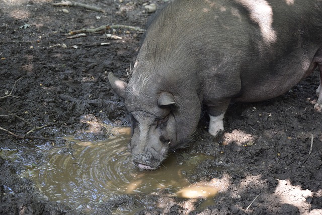 助力经常项 助力经常项