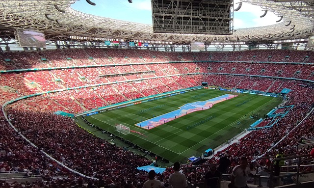 的严寒天气 的严寒天气